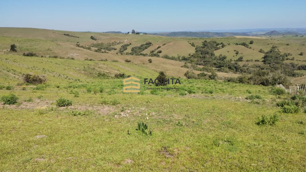 Fazenda-Sítio-Chácara, 89 hectares - Foto 2
