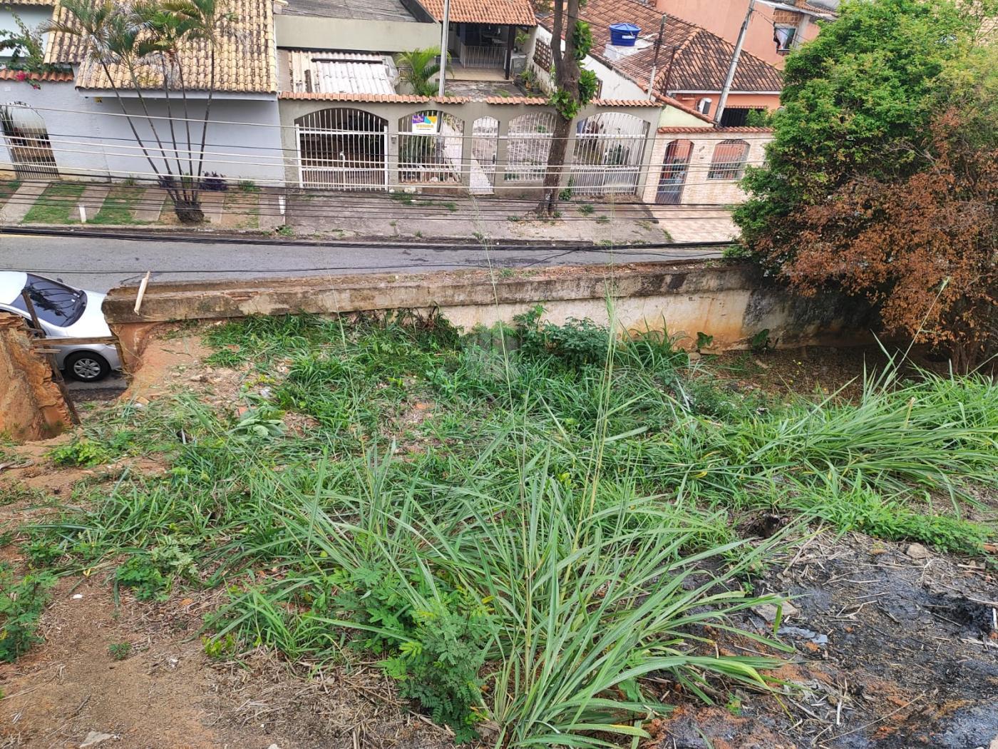 Terreno à venda, 250m² - Foto 3