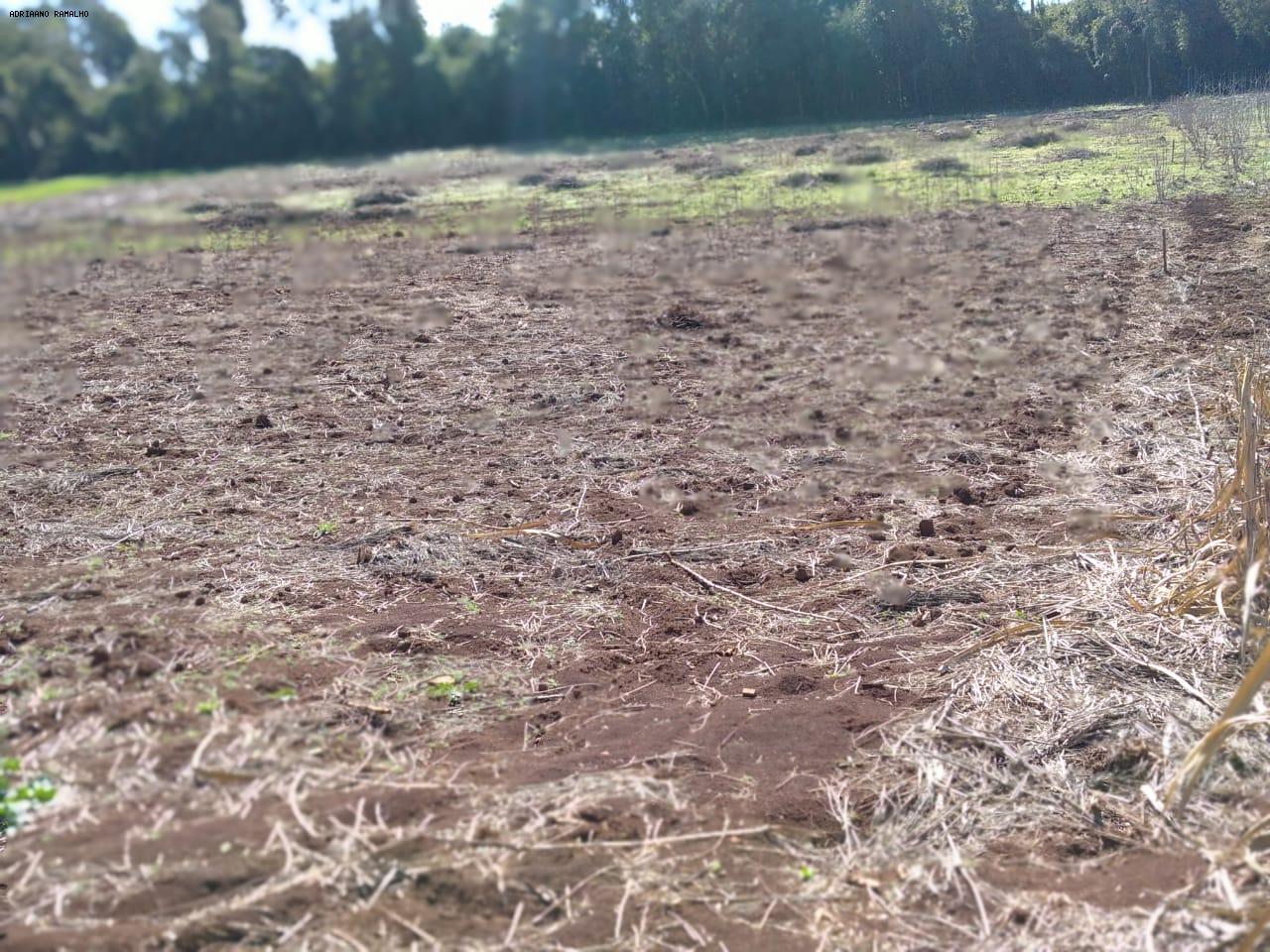 Fazenda para alugar com 3 quartos, 20000m² - Foto 16