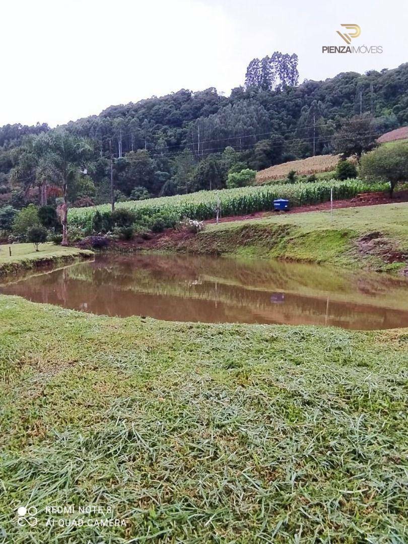 Terreno à venda, 169000M2 - Foto 22