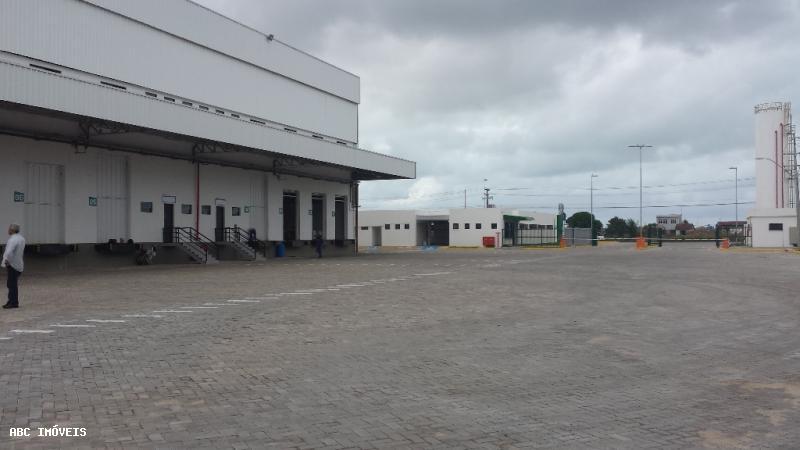 Depósito-Galpão-Armazém para alugar com 1 quarto, 21000m² - Foto 6