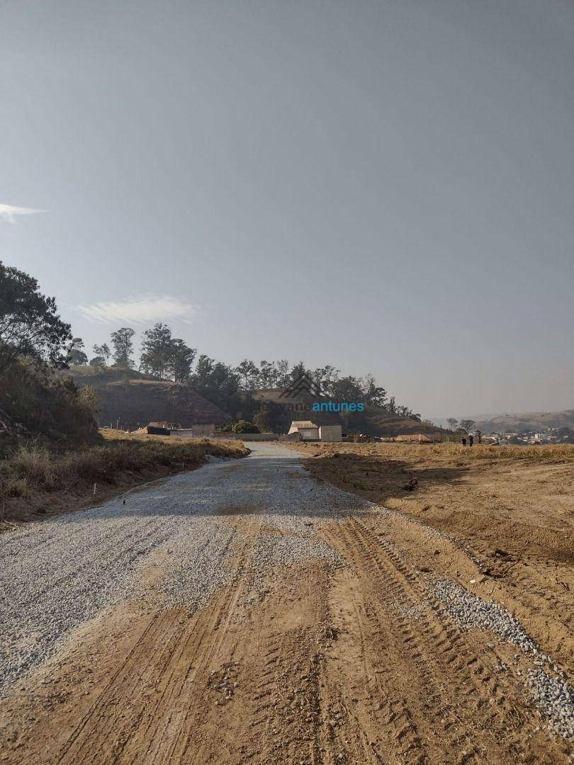 Terreno à venda, 30000M2 - Foto 3