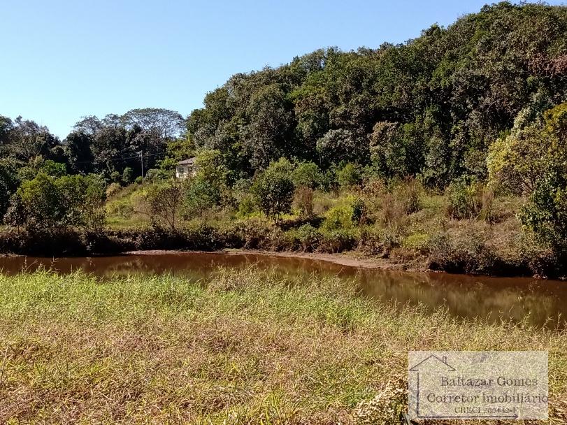 Fazenda à venda com 3 quartos, 5m² - Foto 19