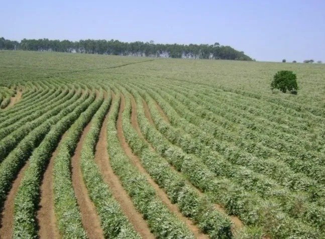 Fazenda à venda, 530m² - Foto 8