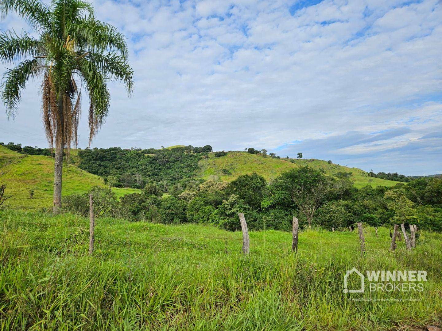 Fazenda-Sítio-Chácara, 862 hectares - Foto 2