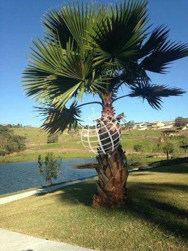 Loteamento e Condomínio à venda, 1010M2 - Foto 21