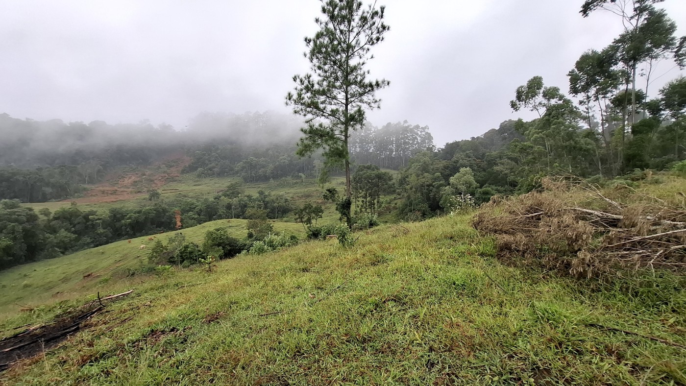 Sítio à venda, 248000m² - Foto 38