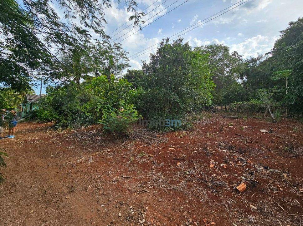 Chácara à venda com 2 quartos, 200m² - Foto 25