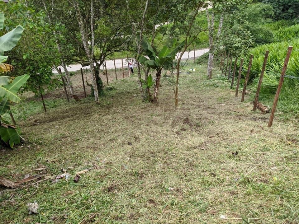 Terreno à venda, 282m² - Foto 2