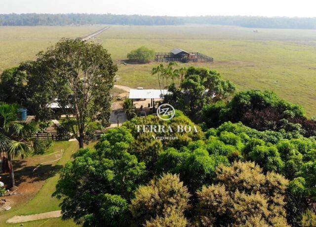 Fazenda à venda, 4000000M2 - Foto 6