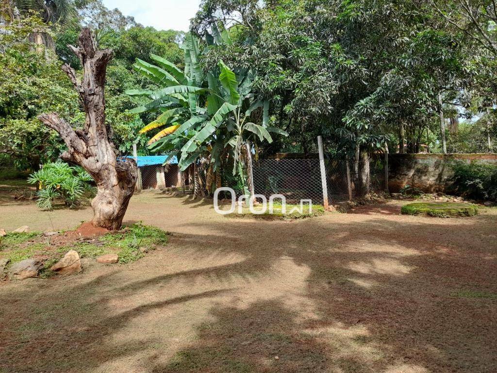 Chácara à venda com 4 quartos, 6000M2 - Foto 15