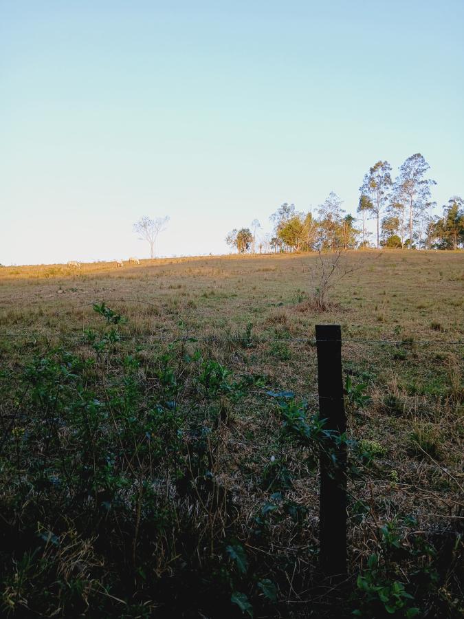 Fazenda à venda com 2 quartos, 146000m² - Foto 19