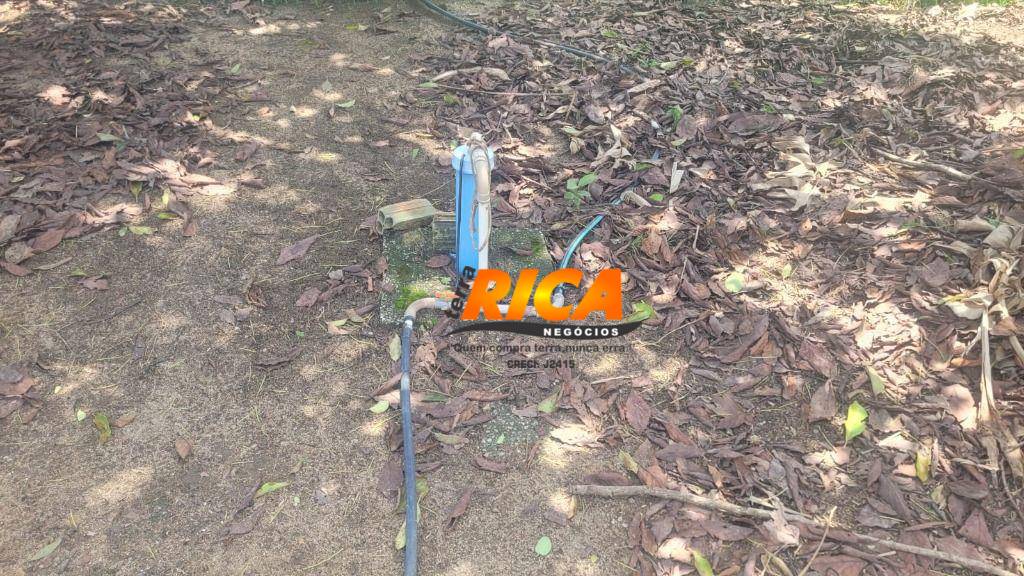 Sítio, 40 hectares - Foto 19