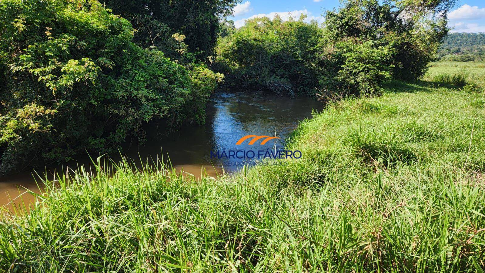 Fazenda, 140 hectares - Foto 2