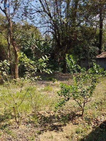 Chácara, 2 quartos, 1212 m² - Foto 7