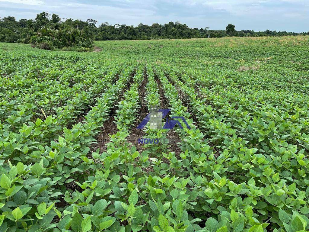 Fazenda à venda, 171250000M2 - Foto 2