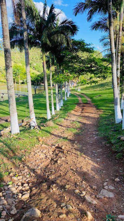 Fazenda, 286 hectares - Foto 3