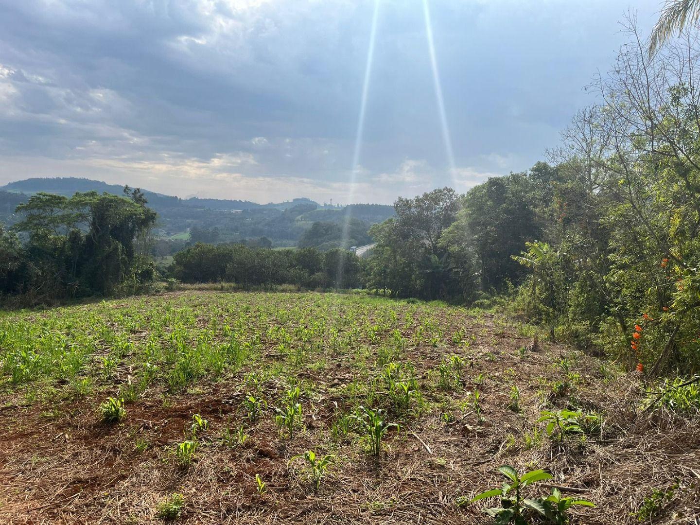 Terreno à venda, 30000m² - Foto 17