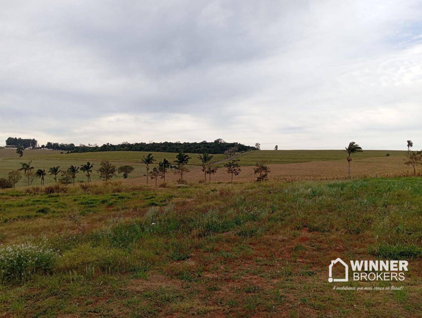 Terreno, 10000 m² - Foto 5