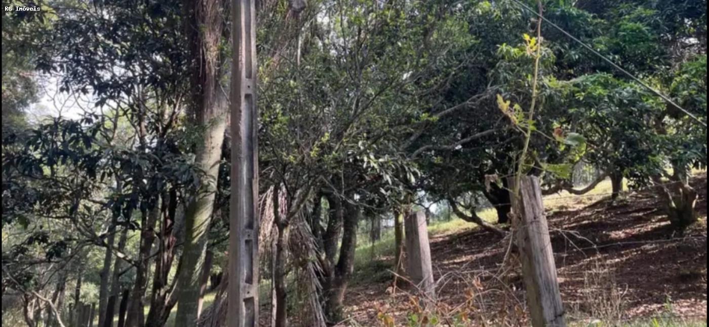 Sítio à venda com 3 quartos, 150m² - Foto 16