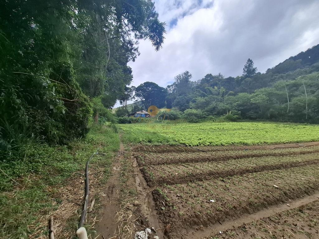 Sítio à venda com 5 quartos, 96800m² - Foto 60