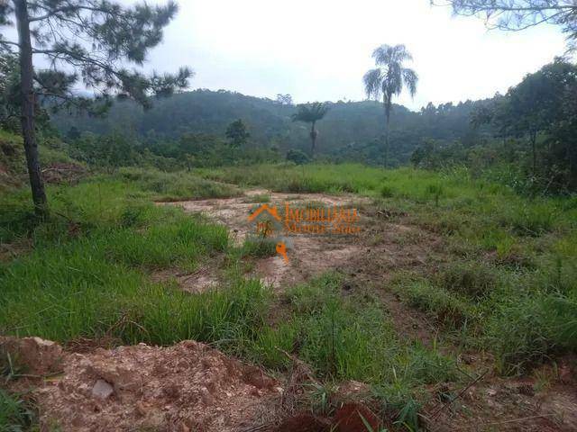 Terreno à venda, 10000M2 - Foto 2