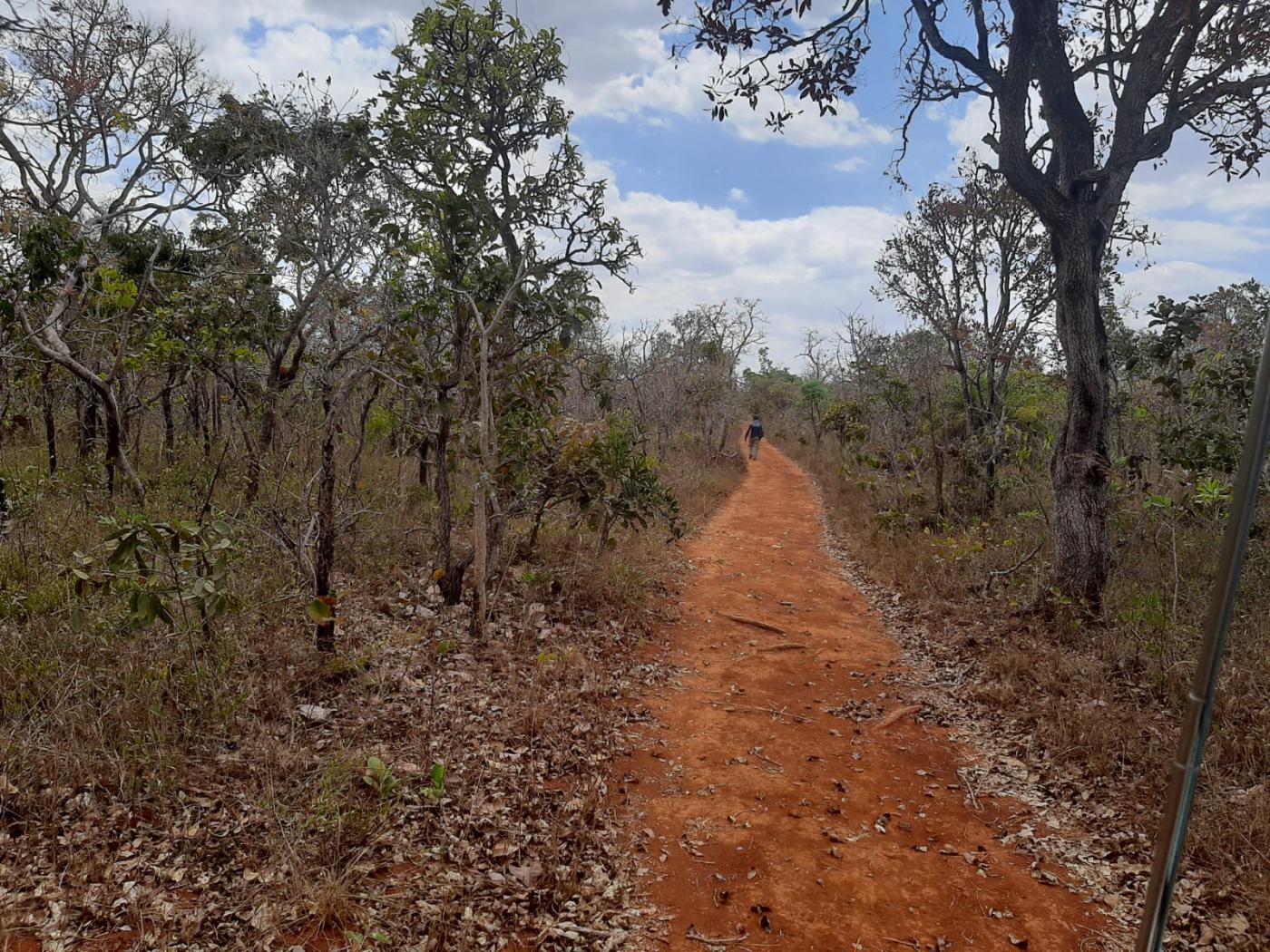 Fazenda à venda, 20000m² - Foto 7