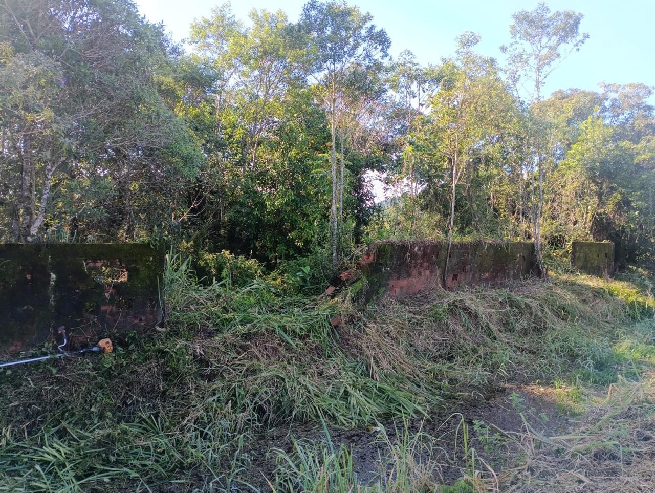 Terreno à venda, 5000m² - Foto 2