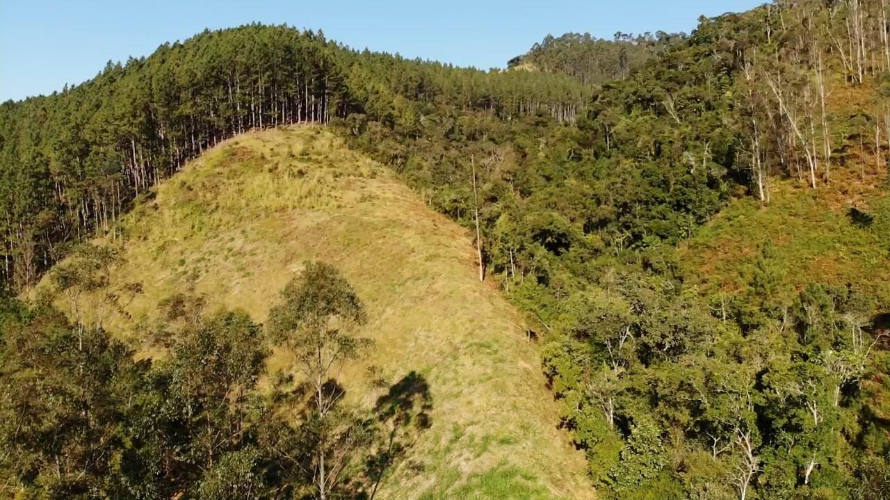 Fazenda à venda com 3 quartos, 140000m² - Foto 24