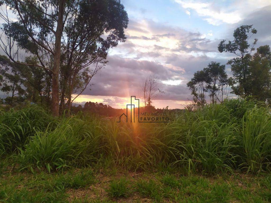 Terreno à venda, 354M2 - Foto 6