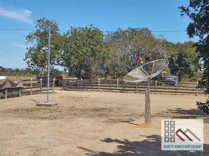 Fazenda à venda com 5 quartos, 500m² - Foto 8