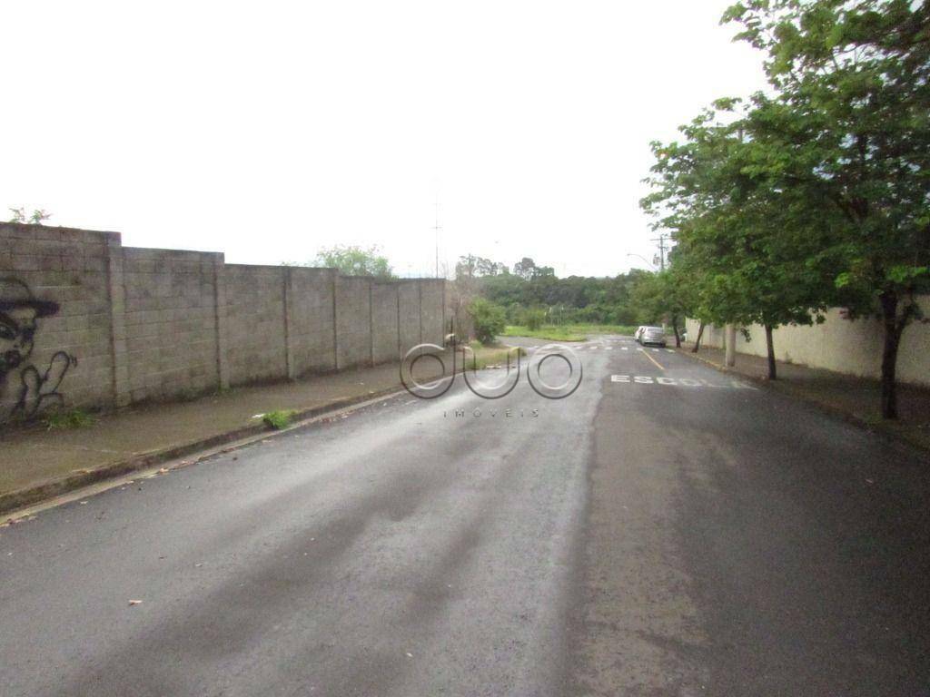 Terreno para alugar, 5000M2 - Foto 3