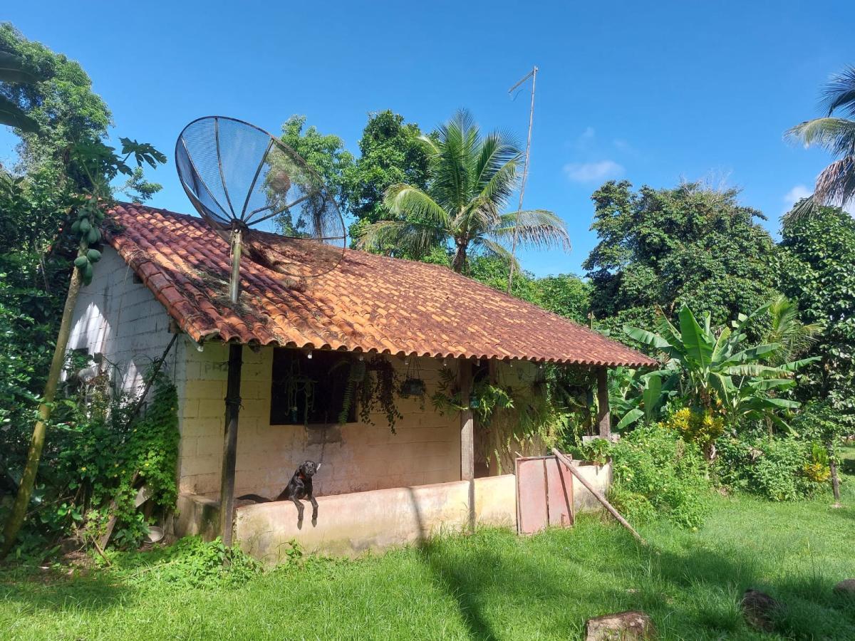 Fazenda à venda com 3 quartos, 68000m² - Foto 14