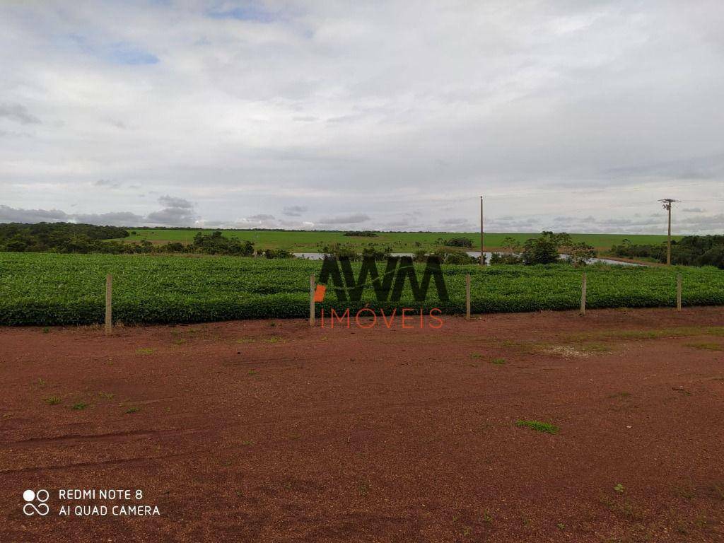 Fazenda à venda, 45302400M2 - Foto 13