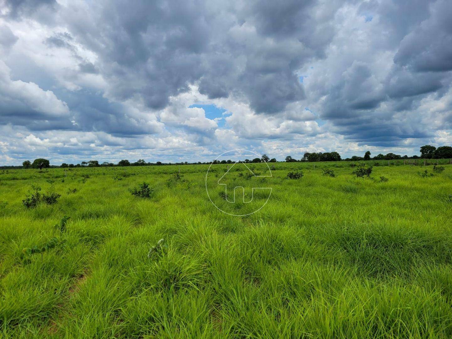 Fazenda à venda, 61350000M2 - Foto 9