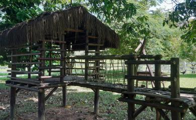 Fazenda à venda com 2 quartos, 145000m² - Foto 22