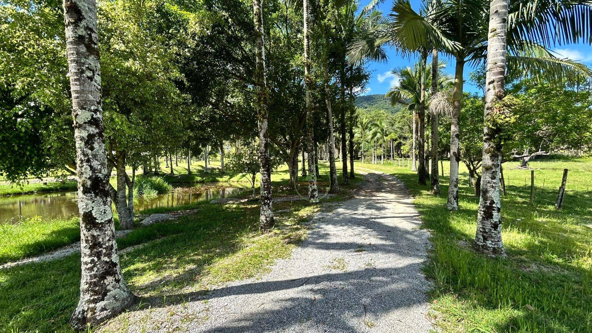 Chácara, 2 hectares - Foto 76