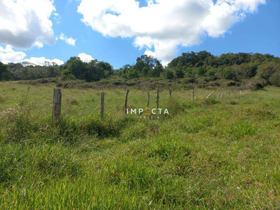 Terreno, 3 hectares - Foto 1