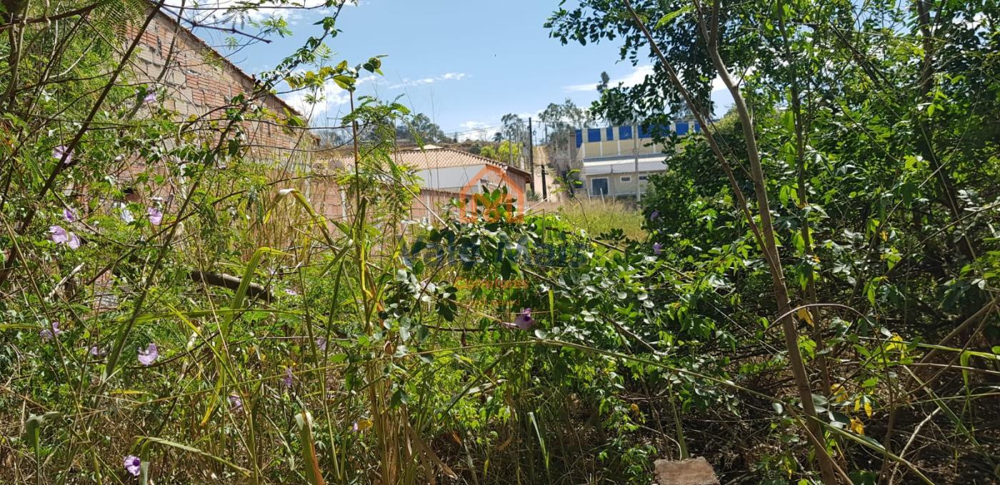 Terreno à venda, 17273m² - Foto 15