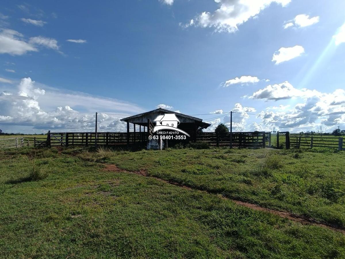 Fazenda-Sítio-Chácara, 143 hectares - Foto 3