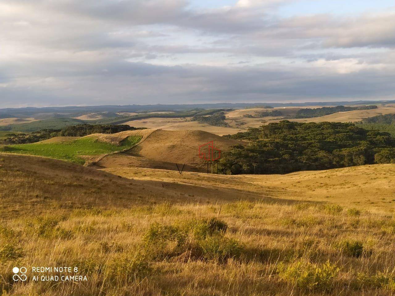 Sítio à venda, 180000M2 - Foto 8