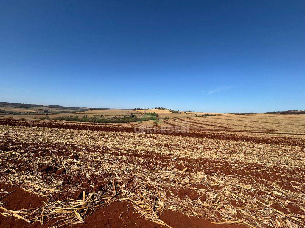 Fazenda, 232 hectares - Foto 9