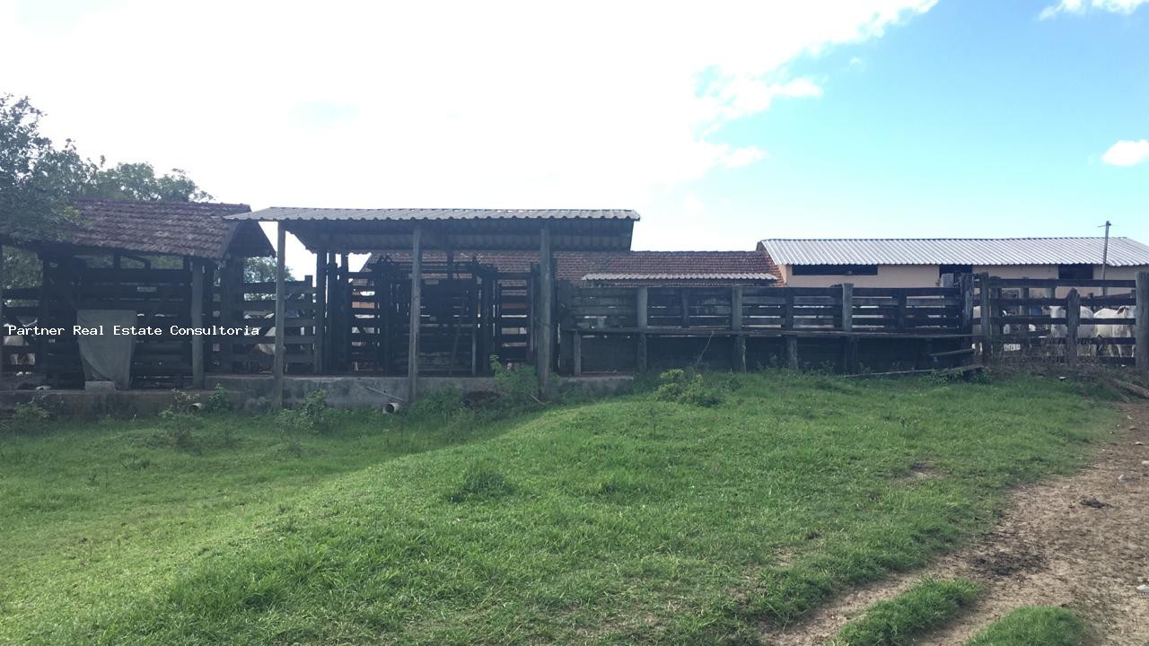 Fazenda à venda com 3 quartos, 52m² - Foto 6