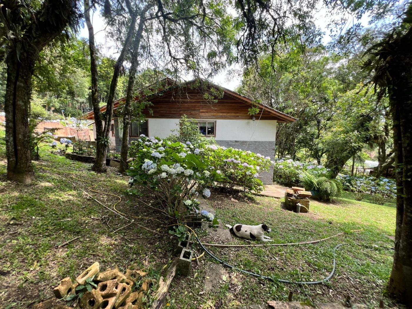 Fazenda à venda, 5050m² - Foto 7