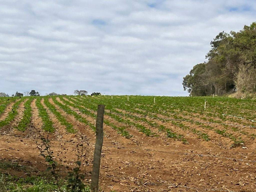 Fazenda, 339 hectares - Foto 22