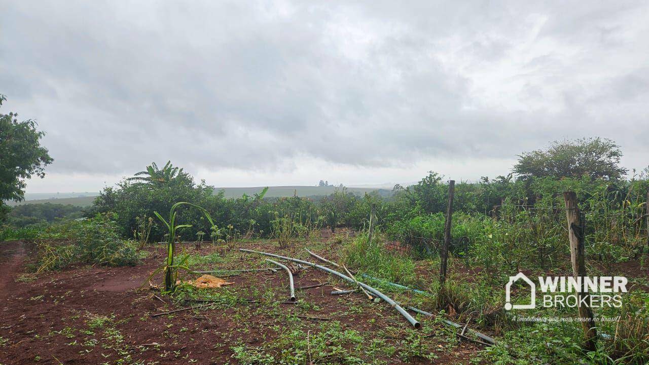 Sítio à venda com 3 quartos, 411400M2 - Foto 6