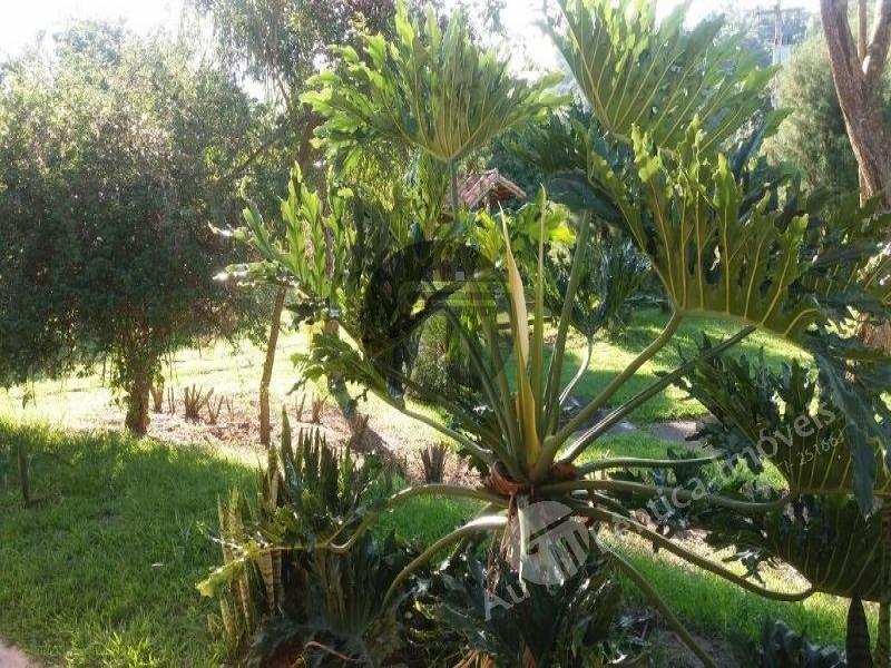 Sítio à venda com 2 quartos, 10084m² - Foto 17