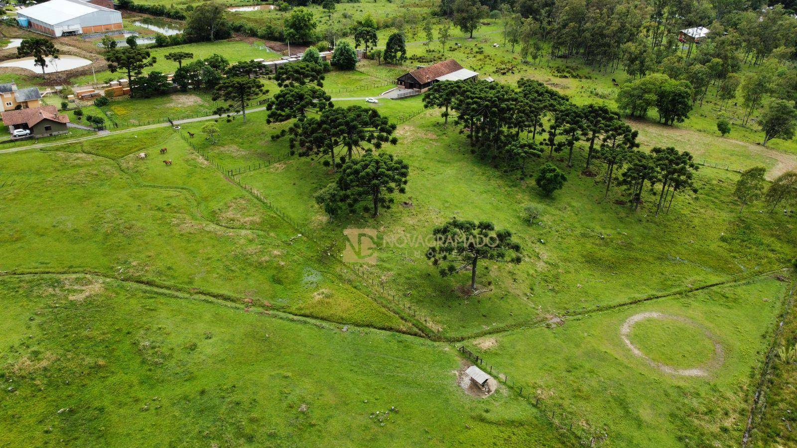 Sítio, 3 quartos, 4 hectares - Foto 7