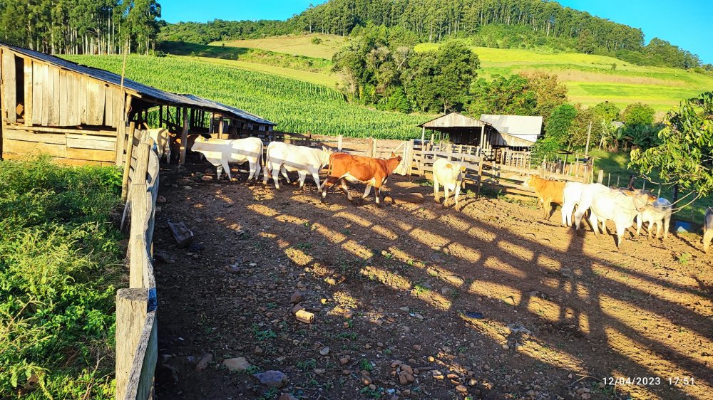 Fazenda à venda, 24m² - Foto 13