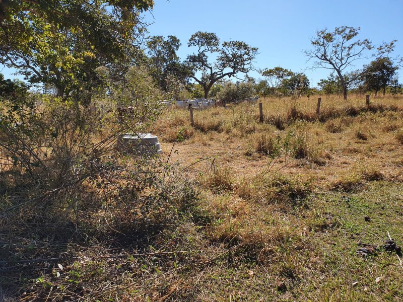 Fazenda à venda, 1613m² - Foto 4